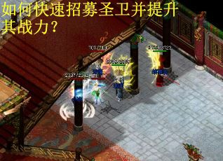 如何快速招募圣卫并提升其战力？