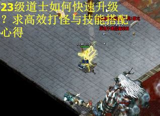 23级道士如何快速升级?求高效打怪与技能搭配心得 23级道士如何快速升级?求高效打怪与技能搭配心得