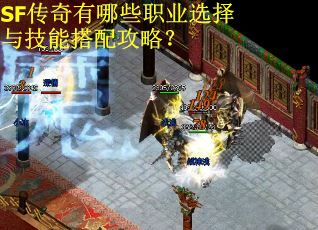 SF传奇有哪些职业选择与技能搭配攻略？