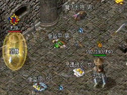 1.76传奇私服高手放在背包的装备有什么用