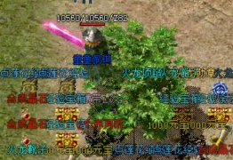 如果要pk那么中变传奇私服玩家最佳目标是谁 如果要pk那么中变传奇私服玩家最佳目标是谁