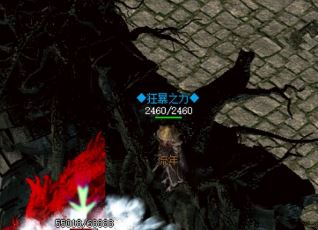 在最新传奇私服中为什么不捡药水