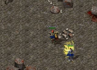 想要携带宠物的玩家应该选哪个职业好