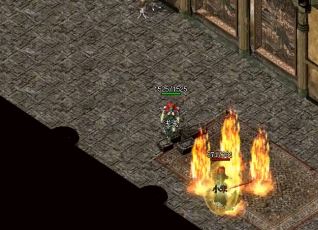 沧月岛最有名的两位老大是谁