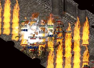 如果你想要在传奇私服中玩得更尽兴，建议你选择道士职业