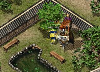 高级玩家在传奇游戏的后期阶段是如何进行升级的呢？