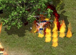 怎么在复古版本传奇中减少死亡