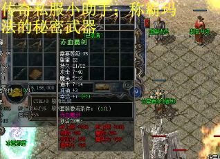 传奇私服小助手:称霸玛法的秘密武器 传奇私服小助手:称霸玛法的秘密武器