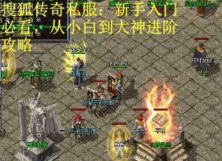 搜狐传奇私服：新手入门必看，从小白到大神进阶攻略