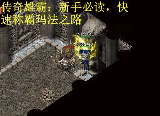 传奇雄霸：新手必读，快速称霸玛法之路