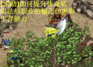 [求助]如何提升传奇私服法师职业的输出伤害和生存能力