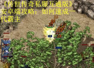 《传世传奇私服互通版》安卓端攻略:如何速成一代霸主 《传世传奇私服互通版》安卓端攻略:如何速成一代霸主