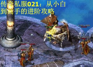 传奇私服021:从小白到高手的进阶攻略 传奇私服021:从小白到高手的进阶攻略