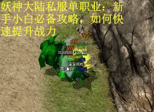 妖神大陆私服单职业：新手小白必备攻略，如何快速提升战力