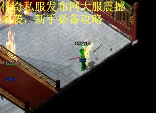 传奇私服发布网大服震撼来袭，新手必备攻略