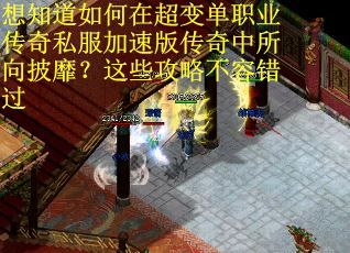 想知道如何在超变单职业传奇私服加速版传奇中所向披靡？这些攻略不容错过