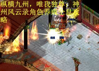 纵横九州，唯我独尊：神州风云录角色养成全息攻略