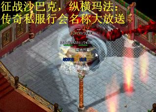 征战沙巴克,纵横玛法:传奇私服行会名称大放送 征战沙巴克,纵横玛法:传奇私服行会名称大放送