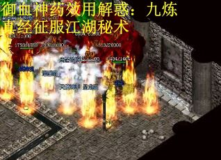 御血神药效用解惑:九炼真经征服江湖秘术 御血神药效用解惑:九炼真经征服江湖秘术