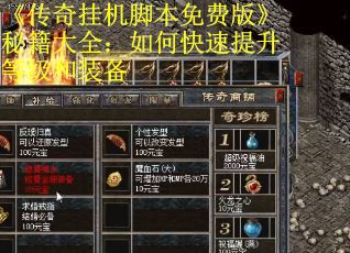 《传奇挂机脚本免费版》秘籍大全：如何快速提升等级和装备