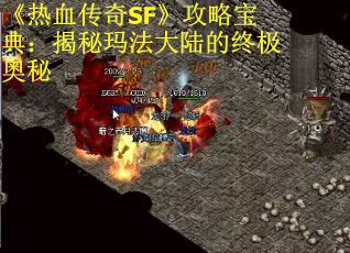 《热血传奇SF》攻略宝典:揭秘玛法大陆的终极奥秘 《热血传奇SF》攻略宝典:揭秘玛法大陆的终极奥秘