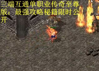 三端互通单职业传奇至尊版：最强攻略秘籍限时公开