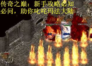 传奇之巅：新手攻略必知必问，助你叱咤玛法大陆