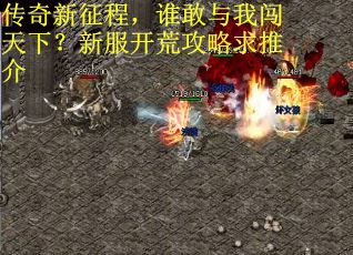 传奇新征程,谁敢与我闯天下?新服开荒攻略求推介 传奇新征程,谁敢与我闯天下?新服开荒攻略求推介