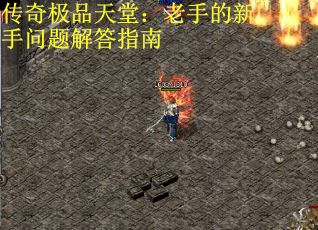 传奇极品天堂:老手的新手问题解答指南 传奇极品天堂:老手的新手问题解答指南