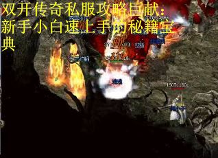 双开传奇私服攻略巨献：新手小白速上手的秘籍宝典