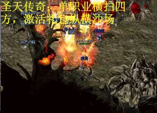 圣天传奇:单职业横扫四方,激活礼包纵横沙场 圣天传奇:单职业横扫四方,激活礼包纵横沙场
