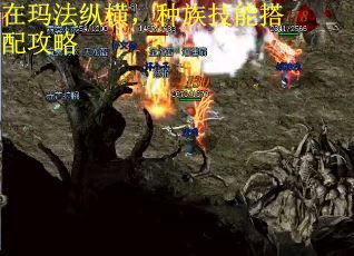 在玛法纵横,种族技能搭配攻略 在玛法纵横,种族技能搭配攻略