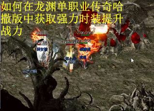 如何在龙渊单职业传奇哈撒版中获取强力时装提升战力 如何在龙渊单职业传奇哈撒版中获取强力时装提升战力