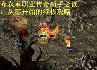 布衣单职业传奇新手必读：从零开始的终极攻略