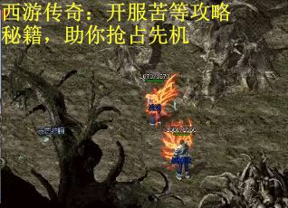 西游传奇:开服苦等攻略秘籍,助你抢占先机 西游传奇:开服苦等攻略秘籍,助你抢占先机