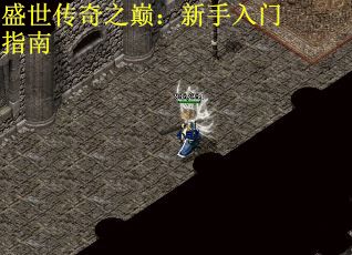 盛世传奇之巅:新手入门指南 盛世传奇之巅:新手入门指南