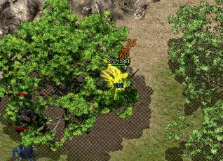 1.76传奇复古元年 网络开服热情高涨