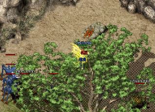 1.76传奇长久区新服开启：全新传奇等你来战！