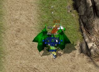 《神佑》攻略：全属性+5%攻魔道+10%暗属性，如何集齐神佑生肖盒