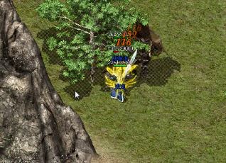 逆血buff横扫玛法：传奇游戏攻略秘笈