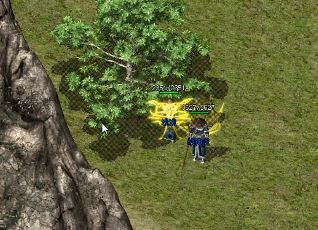 《蝴蝶传奇sf》萌新进阶攻略：从菜鸟到大神