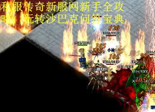 私服传奇新服网新手全攻略：玩转沙巴克问答宝典