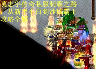 莫志宇传奇私服制霸之路：从新手小白到沙城霸主攻略全解