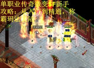 单职业传奇微变SF新手攻略:从入门到精通,称霸玛法大陆 单职业传奇微变SF新手攻略:从入门到精通,称霸玛法大陆