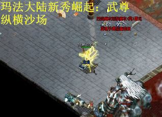 玛法大陆新秀崛起:武尊纵横沙场 玛法大陆新秀崛起:武尊纵横沙场