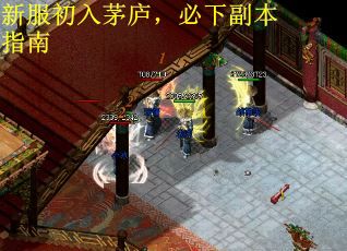 新服初入茅庐，必下副本指南