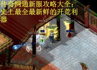 传奇网通新服攻略大全：史上最全最新鲜的开荒利器