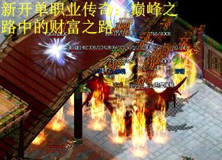 新开单职业传奇:巅峰之路中的财富之路 新开单职业传奇:巅峰之路中的财富之路