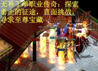 无补丁单职业传奇:探索勇士的征途,直面挑战,寻求至尊宝藏 无补丁单职业传奇:探索勇士的征途,直面挑战,寻求至尊宝藏