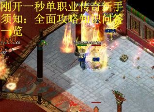 刚开一秒单职业传奇新手须知：全面攻略知识问答一览